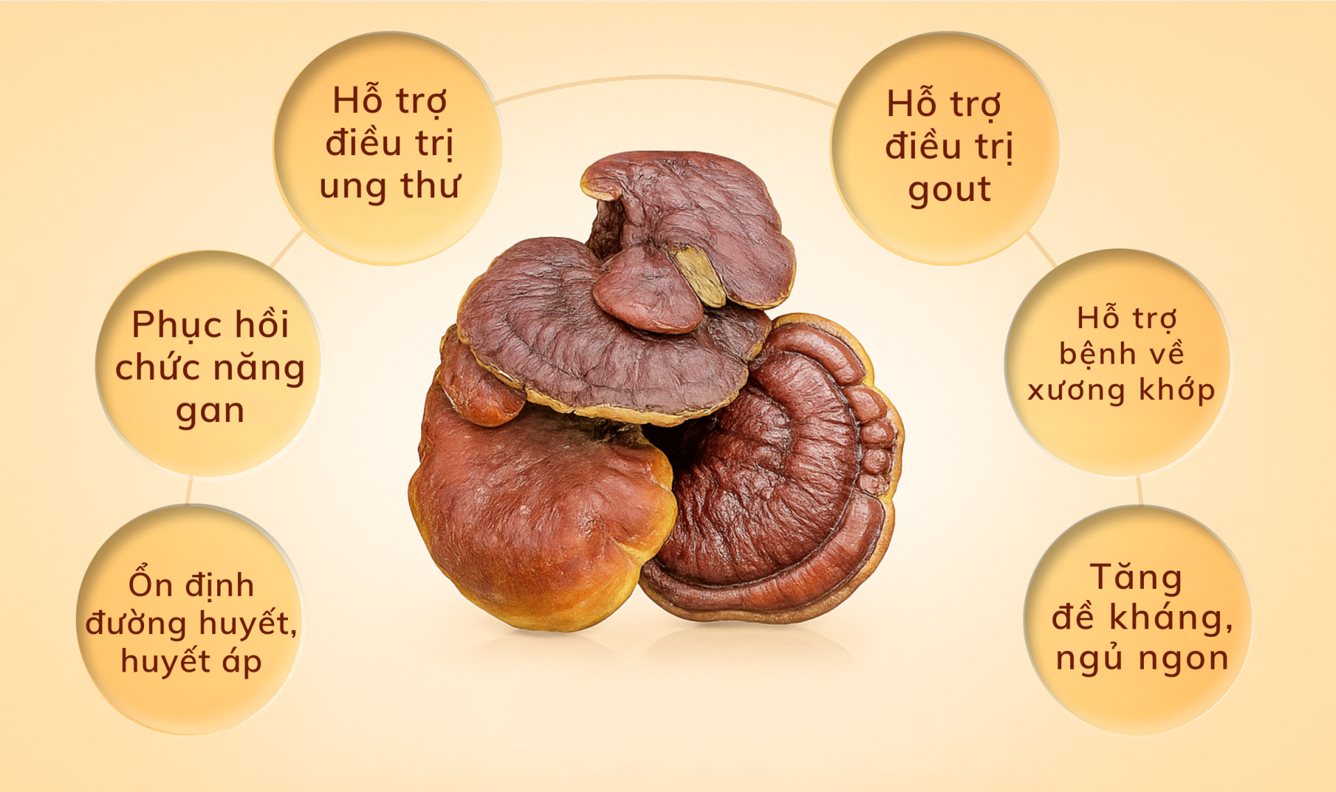 nấm lim xanh TRIMICO